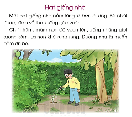 ương, ươc – Bài 91 – Tiếng Việt lớp 1 (trang 162 → 163) - Cánh diều