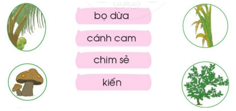 ênh, êch – Bài 95 – Tiếng Việt lớp 1 (trang 6 → 7) - Cánh diều