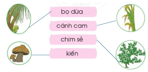 ênh, êch – Bài 95 – Tiếng Việt lớp 1 (trang 6 → 7) - Cánh diều