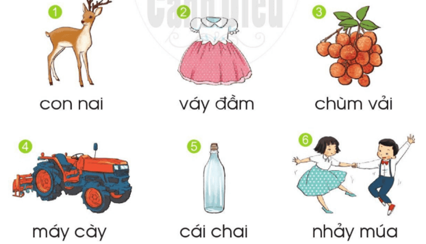 ai, ay – Bài 97 – Tiếng Việt lớp 1 (trang 10 → 11) - Cánh diều