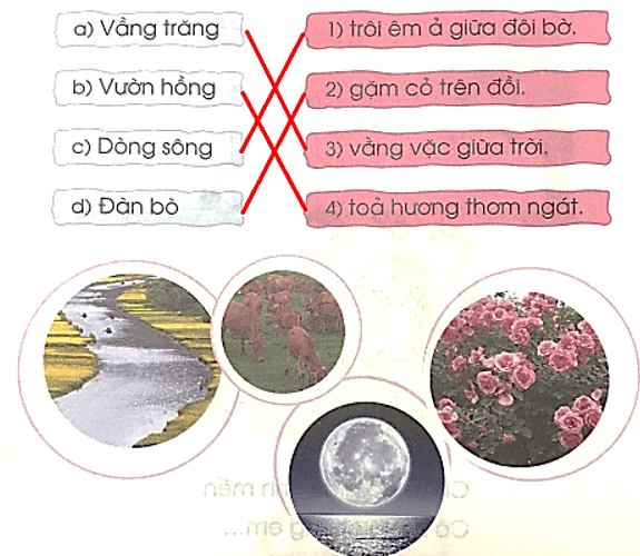Ôn tập cuối năm – Tiếng Việt lớp 1 (trang 155 → 163) - Cánh diều