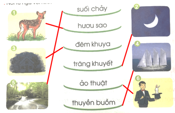 Ôn tập giữa học kì 2 – Tiếng Việt lớp 1 (trang 78 → 81) - Cánh diều