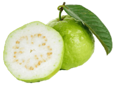 Trắc nghiệm Tiếng Việt lớp 1 Bài 101 (có đáp án): ôi, ơi | Cánh diều