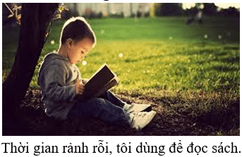 Trắc nghiệm Tiếng Việt lớp 1 Bài 101 (có đáp án): ôi, ơi | Cánh diều