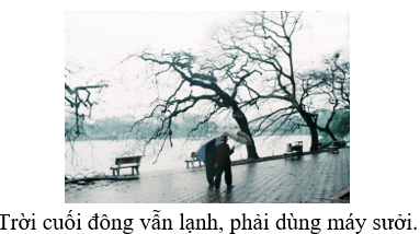 Trắc nghiệm Tiếng Việt lớp 1 Bài 103 (có đáp án): uôi, ươi | Cánh diều