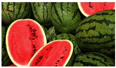 Trắc nghiệm Tiếng Việt lớp 1 Bài 107 (có đáp án): au, âu | Cánh diều