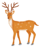 Trắc nghiệm Tiếng Việt lớp 1 Bài 112 (có đáp án): ưu, ươu | Cánh diều