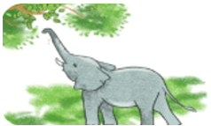 Trắc nghiệm Tiếng Việt lớp 1 Bài 114 (có đáp án): uê, uơ | Cánh diều