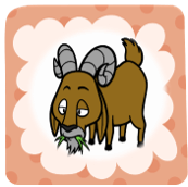 Trắc nghiệm Tiếng Việt lớp 1 Bài 118 (có đáp án): oam, oăm | Cánh diều