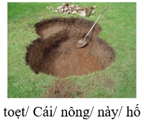 Trắc nghiệm Tiếng Việt lớp 1 Bài 124 (có đáp án): oen, oet | Cánh diều