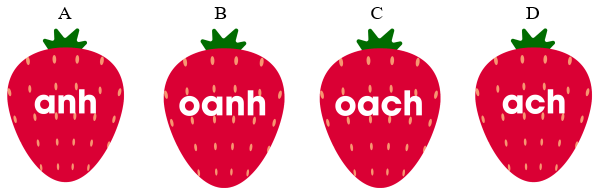 Trắc nghiệm Tiếng Việt lớp 1 Bài 131 (có đáp án): oanh, oach | Cánh diều