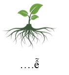 Trắc nghiệm Tiếng Việt lớp 1 Bài 24 (có đáp án): qu, r | Cánh diều