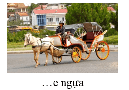 Trắc nghiệm Tiếng Việt lớp 1 Bài 25 (có đáp án): s, x | Cánh diều