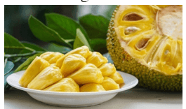 Trắc nghiệm Tiếng Việt lớp 1 Bài 64 (có đáp án): in, it | Cánh diều