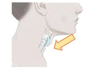 Trắc nghiệm Tiếng Việt lớp 1 Bài 66 (có đáp án): yên, yêt | Cánh diều