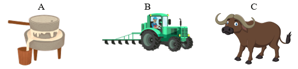 Trắc nghiệm Tiếng Việt lớp 1 Kể cho bé nghe (có đáp án) | Cánh diều