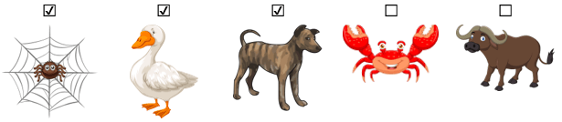 Trắc nghiệm Tiếng Việt lớp 1 Kể cho bé nghe (có đáp án) | Cánh diều