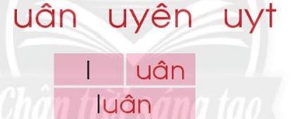 uân, uyên, uyt – Bài 1 – Tiếng Việt lớp 1 (trang 16 → 17) - Chân trời sáng tạo