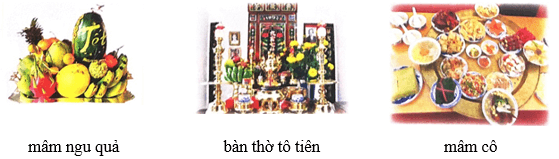 Chợ hoa ngày Tết ở Hà Nội – Bài 2 – Tiếng Việt lớp 1 (trang 46 → 48) - Chân trời sáng tạo