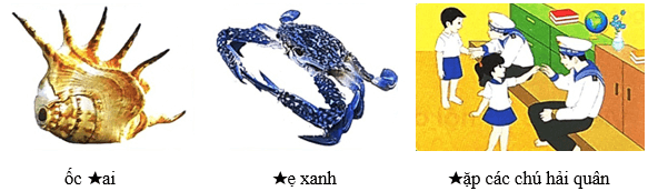 Nữ hoàng của đảo – Bài 3 – Tiếng Việt lớp 1 (trang 130 → 132) - Chân trời sáng tạo