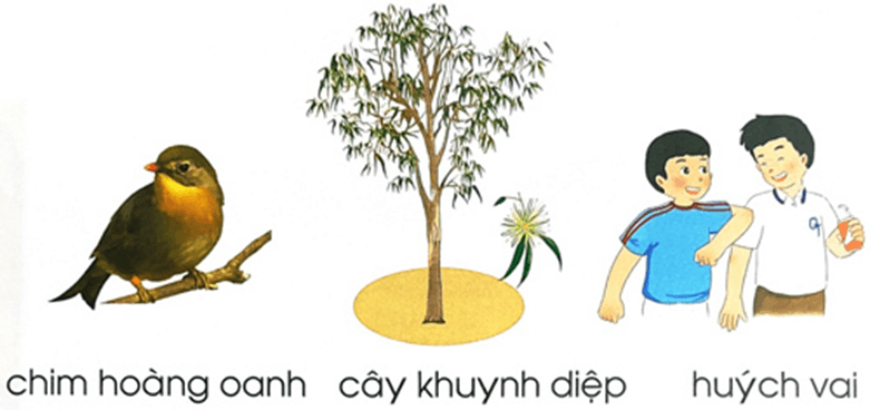 oanh, uynh, uych – Bài 3 – Tiếng Việt lớp 1 (trang 20 → 21) - Chân trời sáng tạo