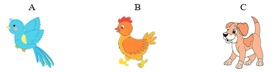 Trắc nghiệm Tiếng Việt lớp 1 Bài 1 (có đáp án): Làng em buổi sáng | Chân trời sáng tạo