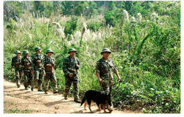 Trắc nghiệm Tiếng Việt lớp 1 Bài 1 (có đáp án): uân, uyên, uyt | Chân trời sáng tạo