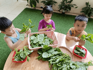 Trắc nghiệm Tiếng Việt lớp 1 Bài 2 (có đáp án): au, êu | Chân trời sáng tạo