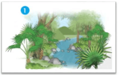 Trắc nghiệm Tiếng Việt lớp 1 Bài 2 (có đáp án): Đi học | Chân trời sáng tạo