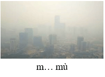 Trắc nghiệm Tiếng Việt lớp 1 Bài 2 (có đáp án): et, êt, it | Chân trời sáng tạo