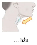 Trắc nghiệm Tiếng Việt lớp 1 Bài 2 (có đáp án): iêt, yêt, uôt, ươt | Chân trời sáng tạo