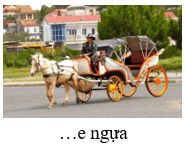 Trắc nghiệm Tiếng Việt lớp 1 Bài 2 (có đáp án): S, s, X, x | Chân trời sáng tạo