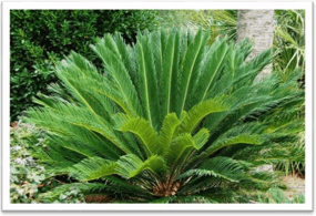 Trắc nghiệm Tiếng Việt lớp 1 Bài 2 (có đáp án): uê, uy | Chân trời sáng tạo