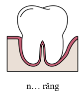 Trắc nghiệm Tiếng Việt lớp 1 Bài 2 (có đáp án): ươu | Chân trời sáng tạo