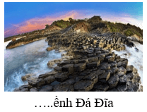 Trắc nghiệm Tiếng Việt lớp 1 Bài 3 (có đáp án): Nữ hoàng của đảo| Chân trời sáng tạo