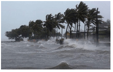 Trắc nghiệm Tiếng Việt lớp 1 Bài 3 (có đáp án): Nữ hoàng của đảo| Chân trời sáng tạo