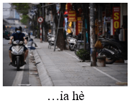 Trắc nghiệm Tiếng Việt lớp 1 Bài 3 (có đáp án): V, v | Chân trời sáng tạo