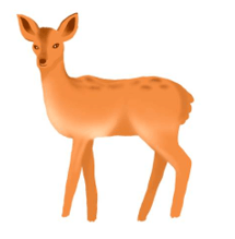 Trắc nghiệm Tiếng Việt lớp 1 Bài 4 (có đáp án): oăng, oam, oap | Chân trời sáng tạo