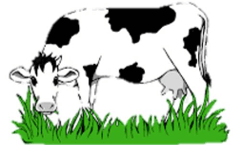 Trắc nghiệm Tiếng Việt lớp 1 Bài 4 (có đáp án): oăng, oam, oap | Chân trời sáng tạo