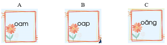 Trắc nghiệm Tiếng Việt lớp 1 Bài 4 (có đáp án): oăng, oam, oap | Chân trời sáng tạo