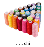 Trắc nghiệm Tiếng Việt lớp 1 Bài 4 (có đáp án): uôn, ươn | Chân trời sáng tạo