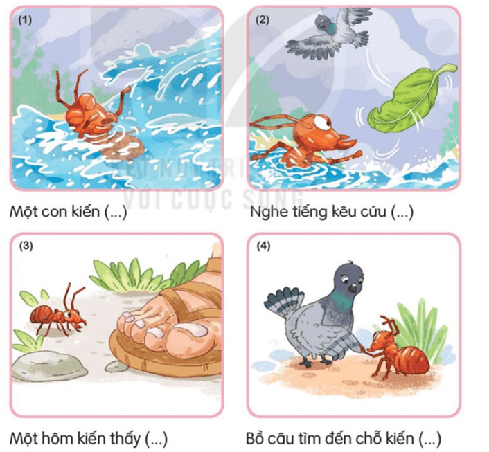 Kiến và chim bồ câu – Bài 1 – Tiếng Việt lớp 1 (trang 84 → 87) - Kết nối tri thức