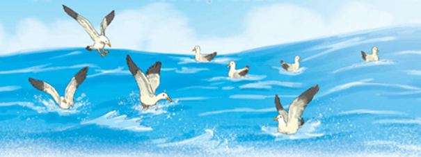 Loài chim của biển cả – Bài 1 – Tiếng Việt lớp 1 (trang 104 → 107) - Kết nối tri thức