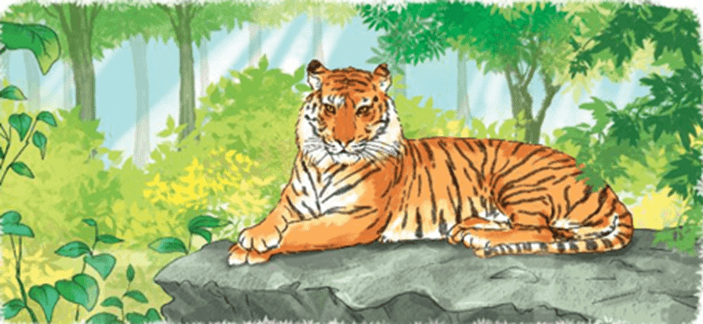 Chúa tể rừng xanh – Bài 3 – Tiếng Việt lớp 1 (trang 110 → 113) - Kết nối tri thức