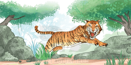 Chúa tể rừng xanh – Bài 3 – Tiếng Việt lớp 1 (trang 110 → 113) - Kết nối tri thức