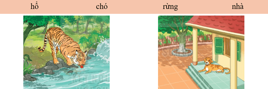Chúa tể rừng xanh – Bài 3 – Tiếng Việt lớp 1 (trang 110 → 113) - Kết nối tri thức
