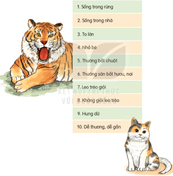 Chúa tể rừng xanh – Bài 3 – Tiếng Việt lớp 1 (trang 110 → 113) - Kết nối tri thức