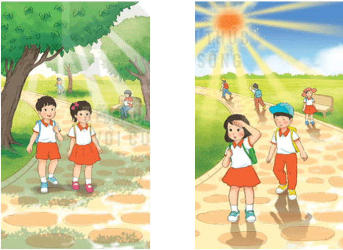 Cây liễu dẻo dai – Bài 5 – Tiếng Việt lớp 1 (trang 118 → 121) - Kết nối tri thức