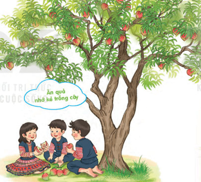 Nhớ ơn – Bài 5 – Tiếng Việt lớp 1 (trang 156 → 157) - Kết nối tri thức