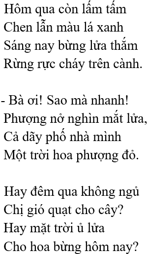 Hoa phượng – Bài 7 – Tiếng Việt lớp 1 (trang 140 → 141) - Kết nối tri thức